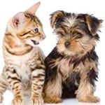 Animal Biome discount code